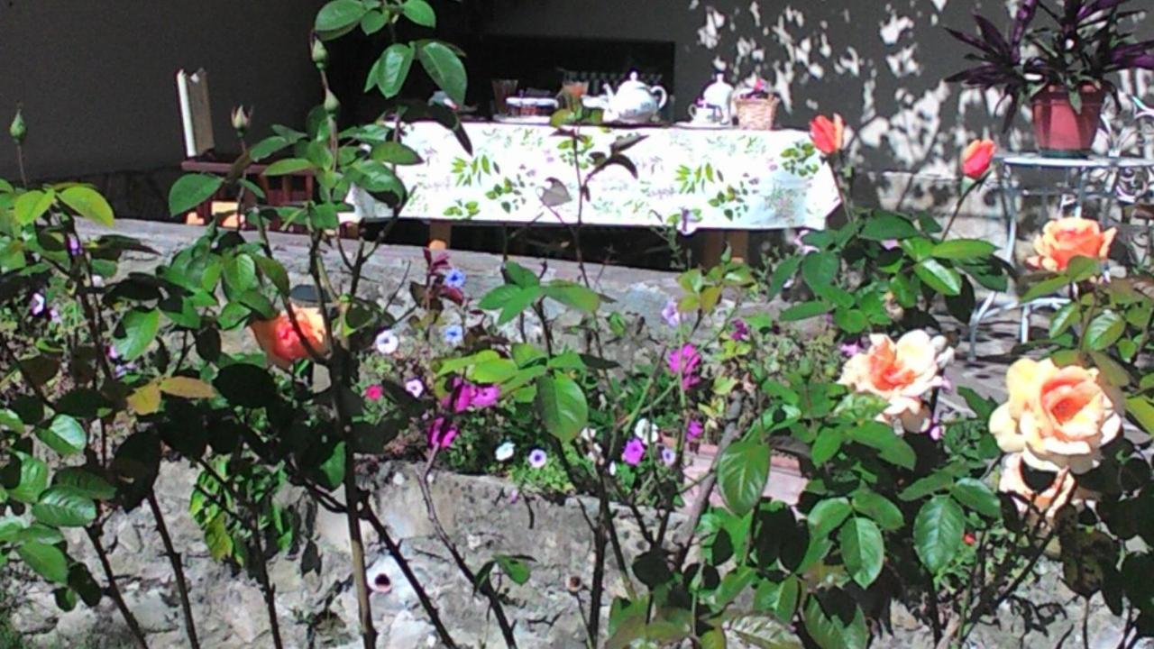 Bed and Breakfast Casa Ciosse Grognardo Esterno foto
